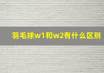 羽毛球w1和w2有什么区别