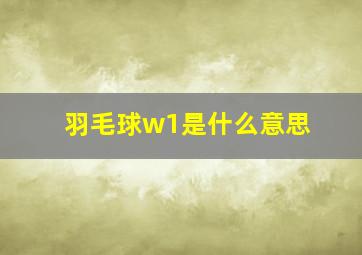 羽毛球w1是什么意思