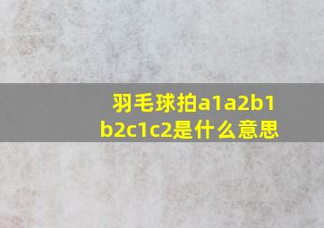 羽毛球拍a1a2b1b2c1c2是什么意思