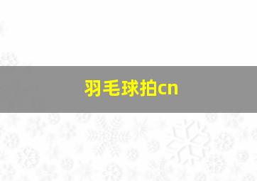 羽毛球拍cn