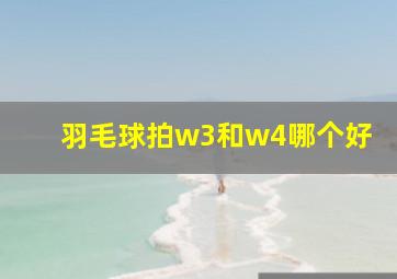 羽毛球拍w3和w4哪个好