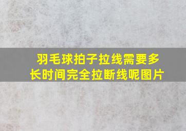 羽毛球拍子拉线需要多长时间完全拉断线呢图片