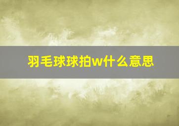 羽毛球球拍w什么意思