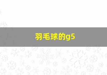 羽毛球的g5