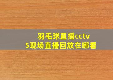 羽毛球直播cctv5现场直播回放在哪看