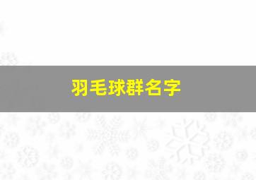 羽毛球群名字