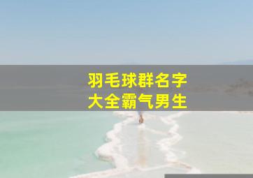 羽毛球群名字大全霸气男生