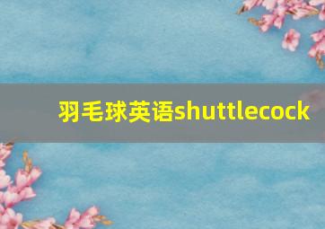 羽毛球英语shuttlecock