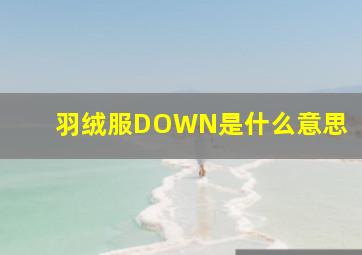 羽绒服DOWN是什么意思