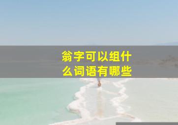 翁字可以组什么词语有哪些