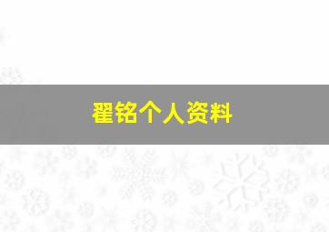 翟铭个人资料