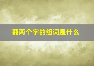 翻两个字的组词是什么