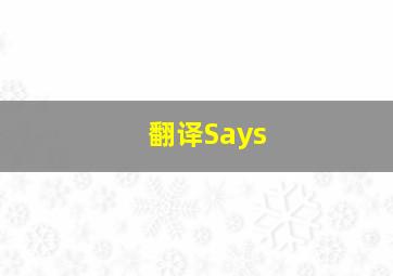 翻译Says