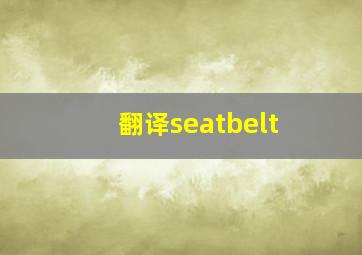 翻译seatbelt