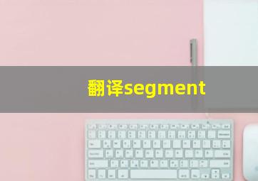 翻译segment