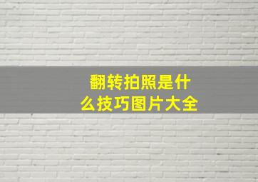 翻转拍照是什么技巧图片大全