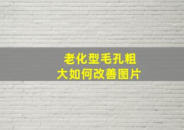 老化型毛孔粗大如何改善图片