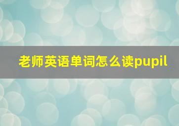 老师英语单词怎么读pupil