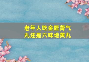 老年人吃金匮肾气丸还是六味地黄丸