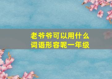 老爷爷可以用什么词语形容呢一年级