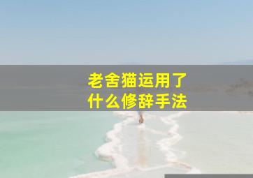 老舍猫运用了什么修辞手法