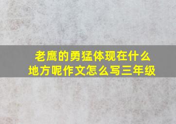 老鹰的勇猛体现在什么地方呢作文怎么写三年级