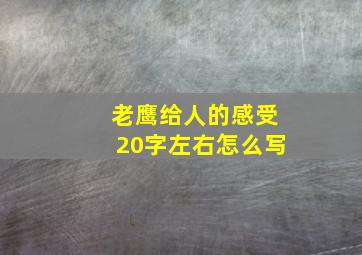 老鹰给人的感受20字左右怎么写