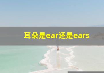 耳朵是ear还是ears