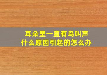 耳朵里一直有鸟叫声什么原因引起的怎么办