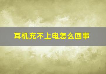 耳机充不上电怎么回事