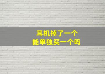 耳机掉了一个能单独买一个吗