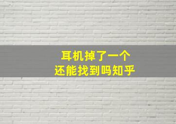 耳机掉了一个还能找到吗知乎