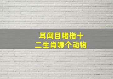 耳闻目睹指十二生肖哪个动物