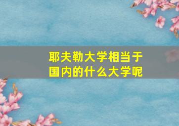 耶夫勒大学相当于国内的什么大学呢