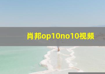 肖邦op10no10视频