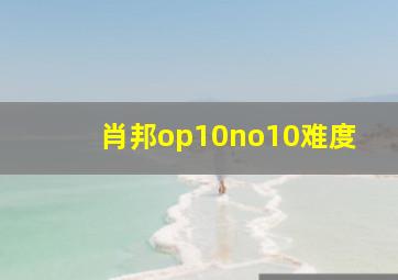 肖邦op10no10难度