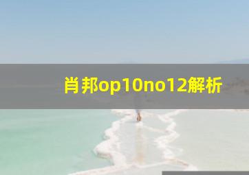 肖邦op10no12解析