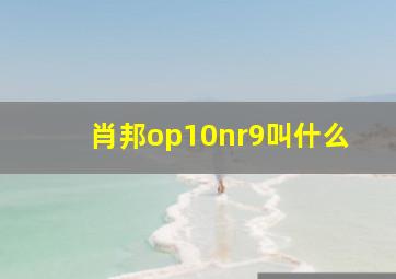 肖邦op10nr9叫什么