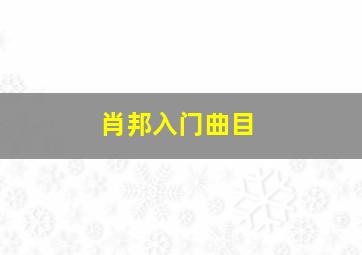 肖邦入门曲目