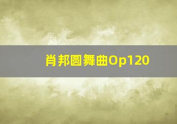 肖邦圆舞曲Op120