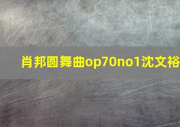 肖邦圆舞曲op70no1沈文裕