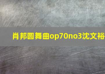 肖邦圆舞曲op70no3沈文裕