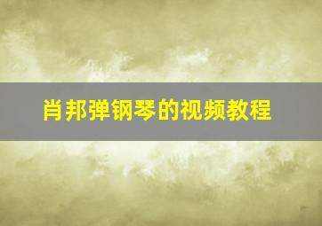 肖邦弹钢琴的视频教程