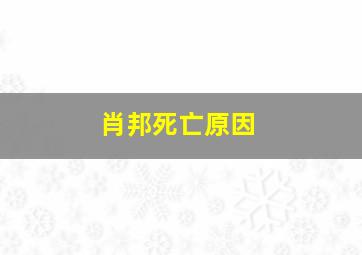 肖邦死亡原因