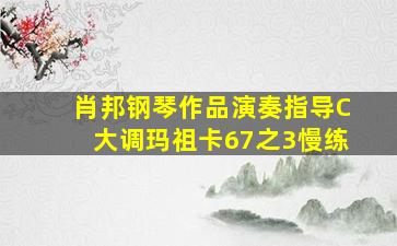 肖邦钢琴作品演奏指导C大调玛祖卡67之3慢练