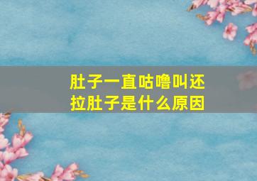 肚子一直咕噜叫还拉肚子是什么原因