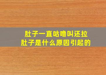 肚子一直咕噜叫还拉肚子是什么原因引起的