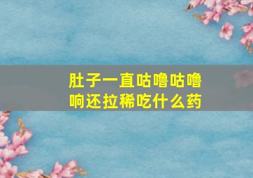 肚子一直咕噜咕噜响还拉稀吃什么药