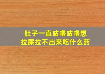 肚子一直咕噜咕噜想拉屎拉不出来吃什么药