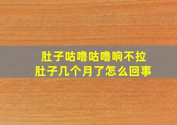 肚子咕噜咕噜响不拉肚子几个月了怎么回事